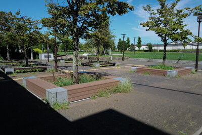 緑の風公園