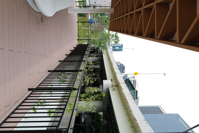 新浜公園