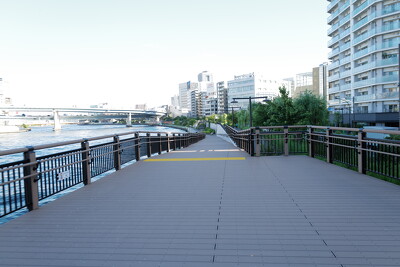 隅⽥川（浜町地区）