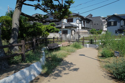 引地川緑地
