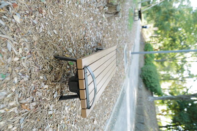 多摩中央公園