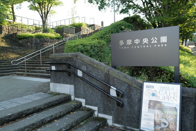 多摩中央公園