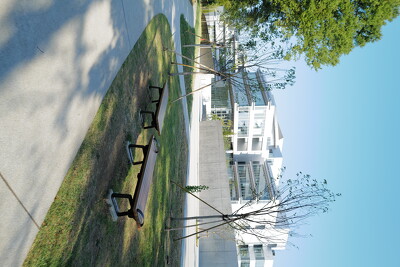 多摩中央公園