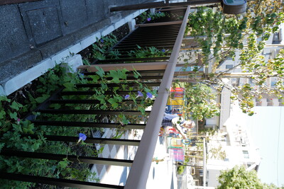 戸越南公園の施工写真