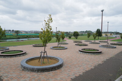 八千代広域公園