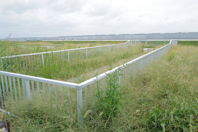 利根川左岸