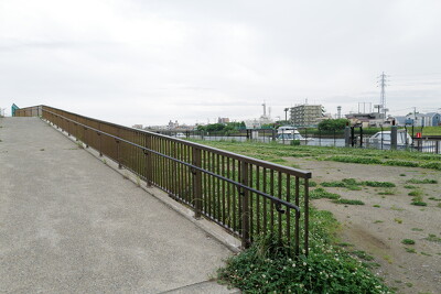 新中川（細田橋上流左岸）