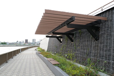 中川（青砥橋下流左岸）