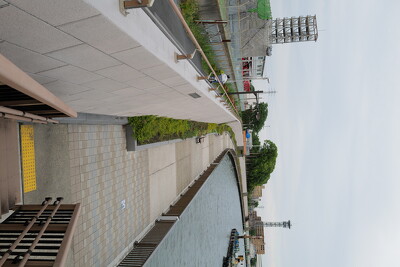 中川（青砥橋下流左岸）