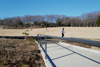 根岸森林公園