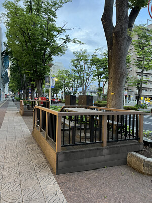 前橋駅駅前通り（けやき通り）