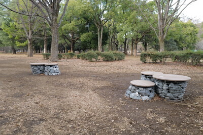 代々木公園