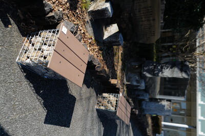 富士市社会実験