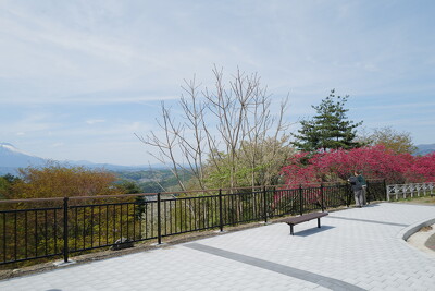 岩山公園