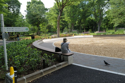新宿中央公園
