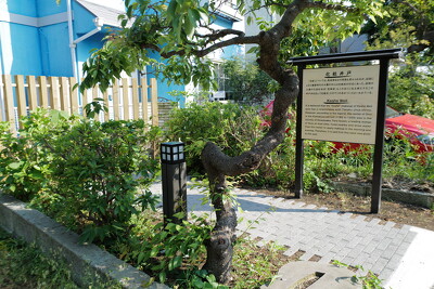 大磯高麗1号線（旧東海道）