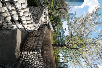 檜町公園