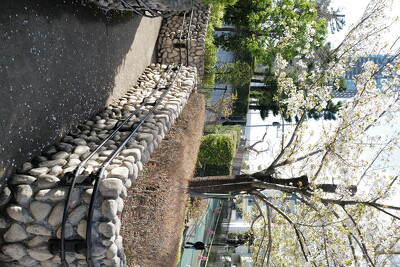 檜町公園