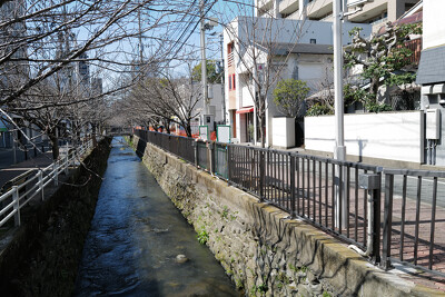 池町川緑道