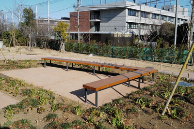 東京農業大学