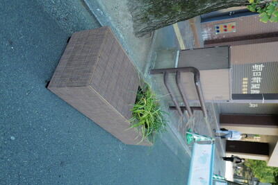 くまもと花博2023