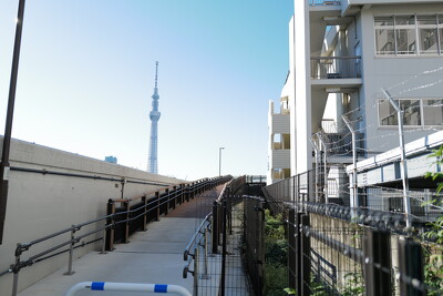 隅田川(橋場一丁目）右岸スロープ
