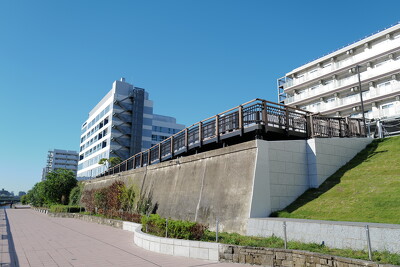 隅田川(橋場一丁目）右岸スロープ