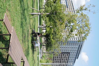 晴海ふ頭公園・ベンチ写真