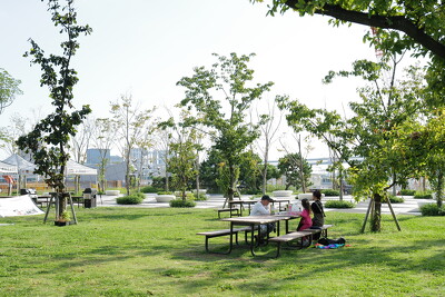 晴海ふ頭公園・ベンチ写真