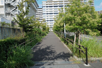 晴海緑道公園