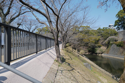 熊本城行幸坂