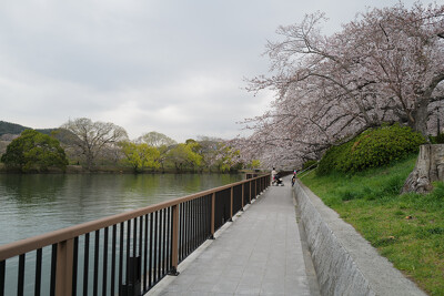 酒津公園