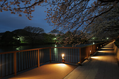 酒津公園