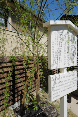 那古野山公園の施工写真