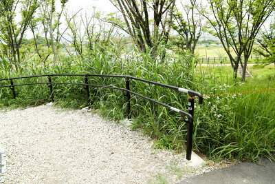 黒烏山公園