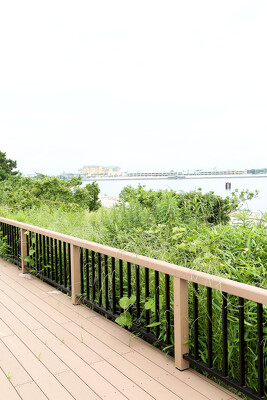 葛西臨海公園