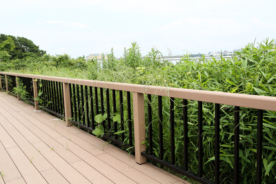葛西臨海公園