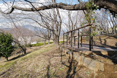 伊勢原市総合運動公園