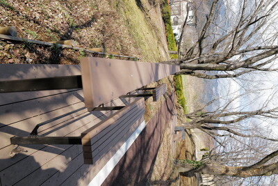 伊勢原市総合運動公園・ベンチ写真
