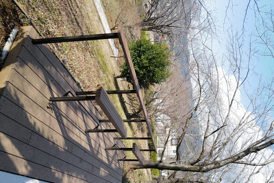 伊勢原市総合運動公園・ベンチ写真