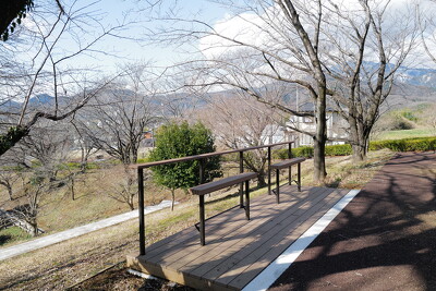 伊勢原市総合運動公園・ベンチ写真