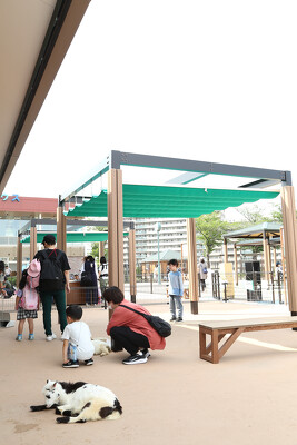 あらかわ遊園の施工写真