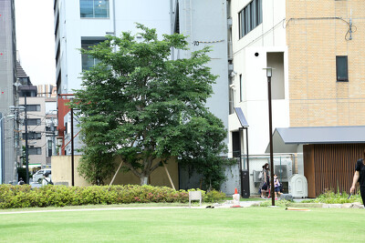坂本町公園