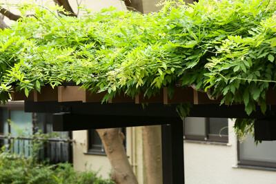小松川境川親水公園