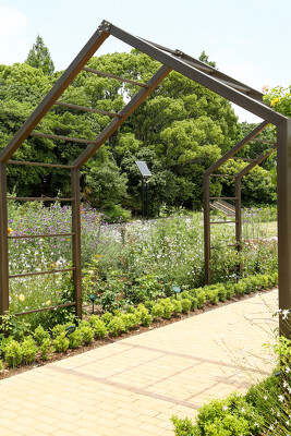 二ノ切池公園の施工写真