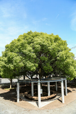 根岸第三公園