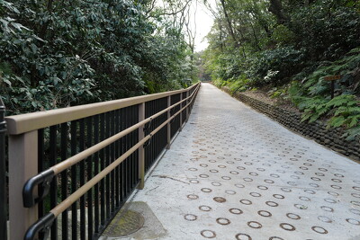 富岡総合公園