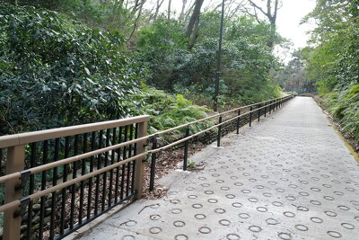 富岡総合公園