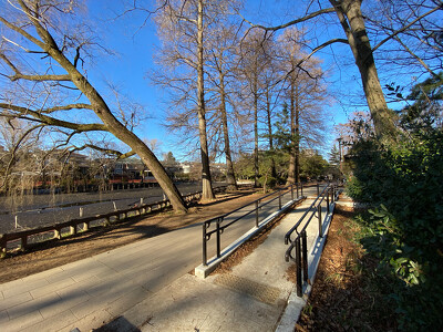 石神井公園