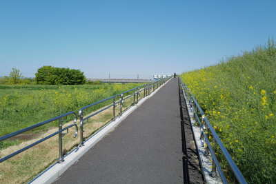 荒川彩湖公園
